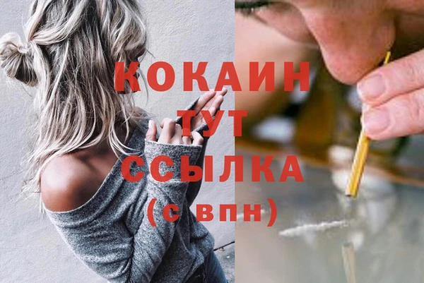 гидра Гусиноозёрск