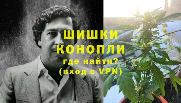 гидра Гусиноозёрск
