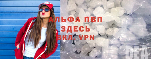 гидра Гусиноозёрск